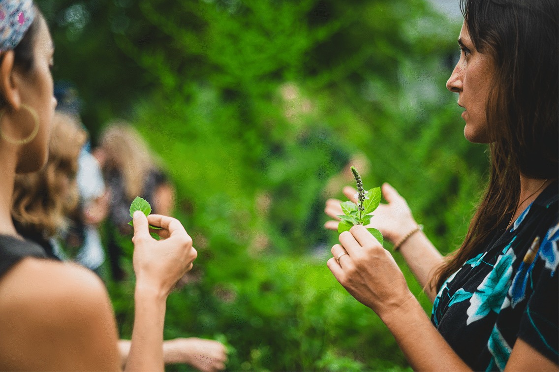 A woman holds a leafy plant out for others to have a look at it.